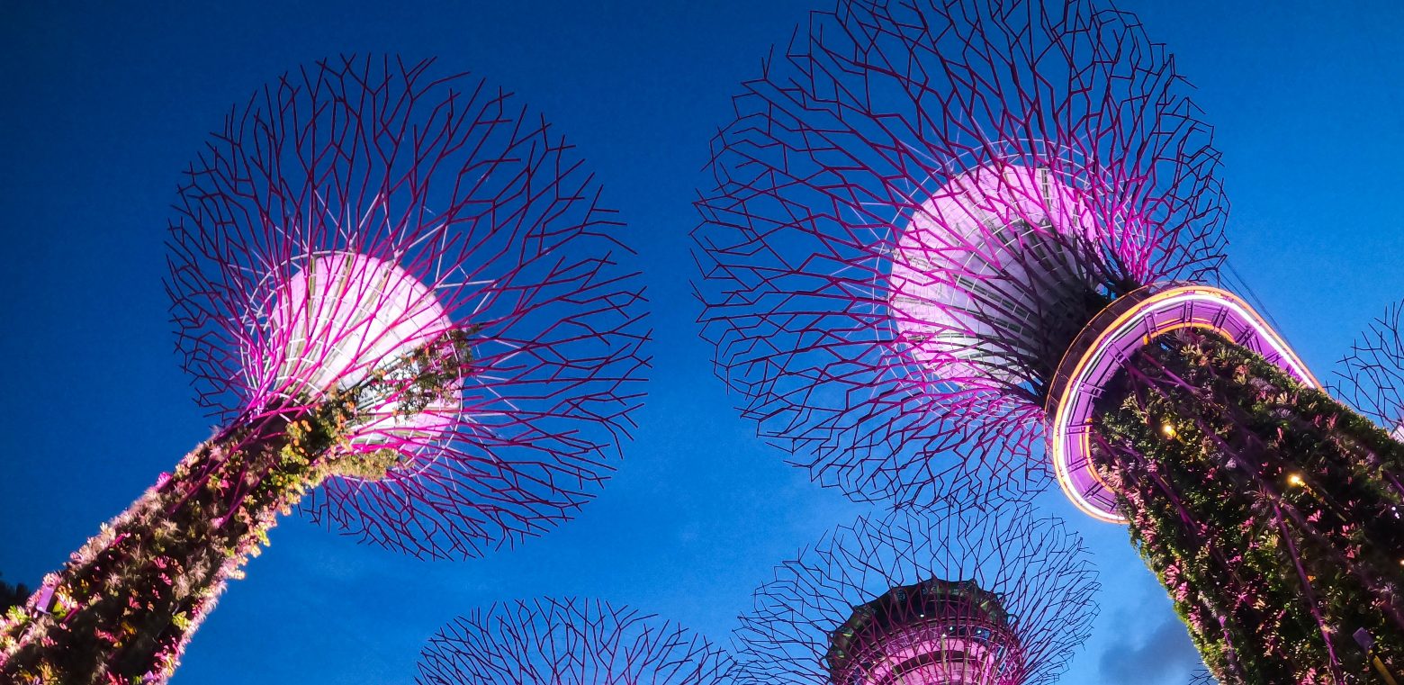 Singapore is one of the world's greenest large cities.